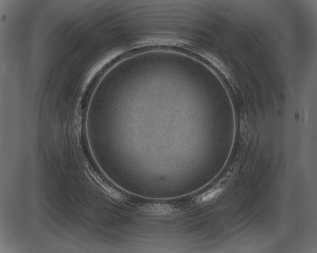 X0000087631119200705031438