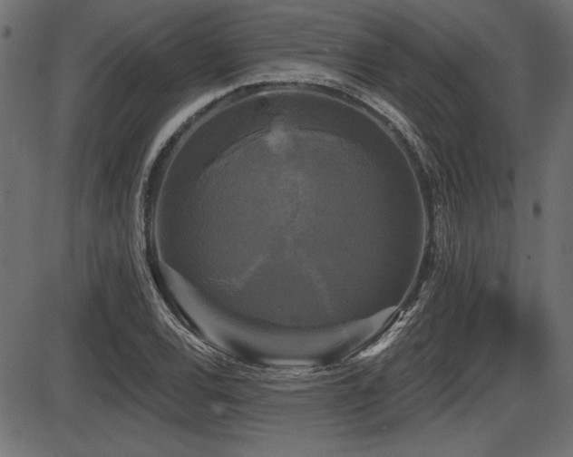X0000087631120200705031438