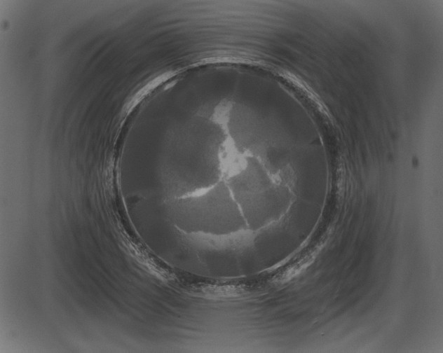 X0000087631121200705031438