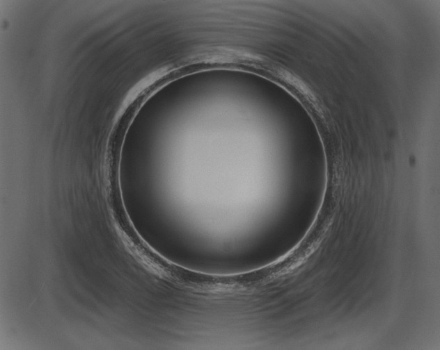 X0000087631122200705031438