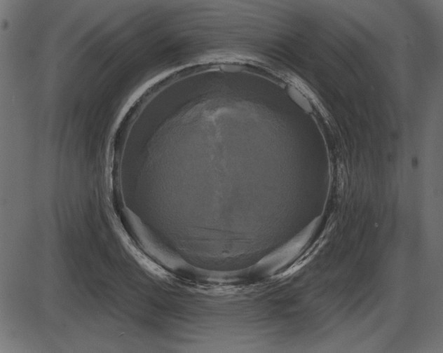 X0000087631124200705031439