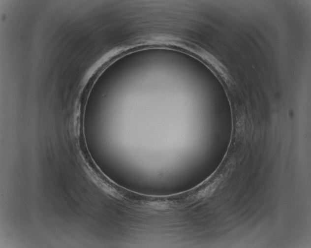 X0000087631126200705031439
