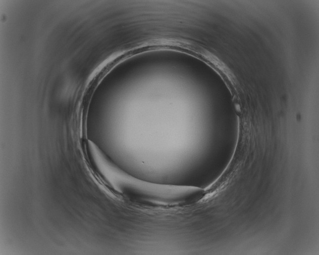 X0000087631127200705031439