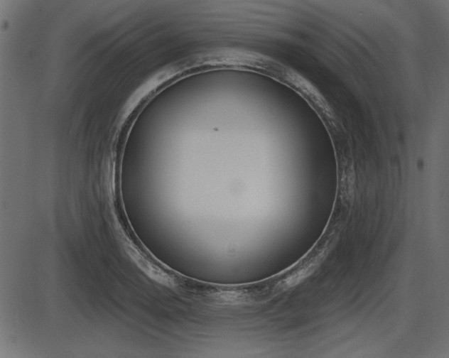 X0000087631130200705031439