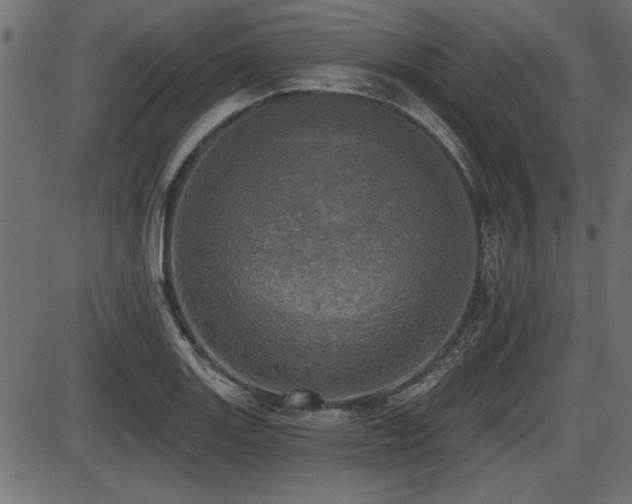X0000087631131200705031439