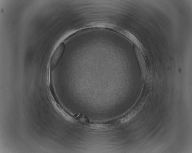 X0000087631132200705031439