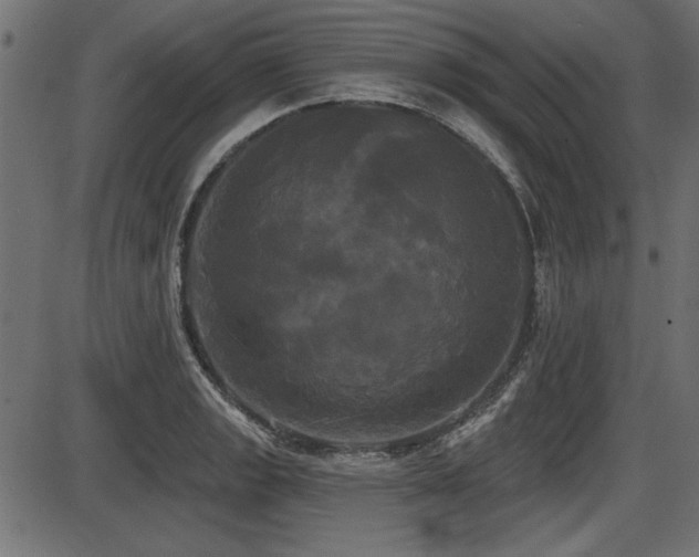 X0000087631133200705031439