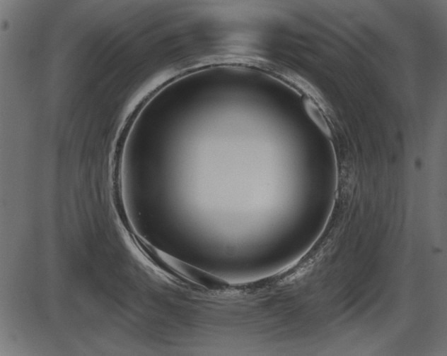 X0000087631135200705031439