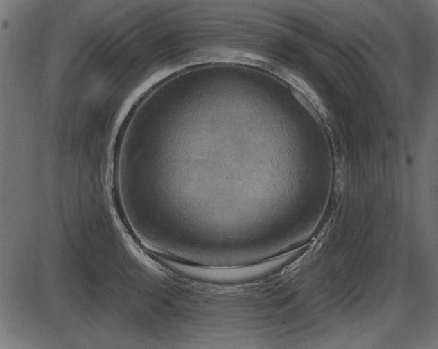 X0000087631136200705031439