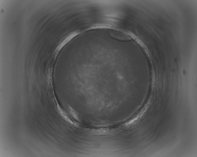X0000087631137200705031439