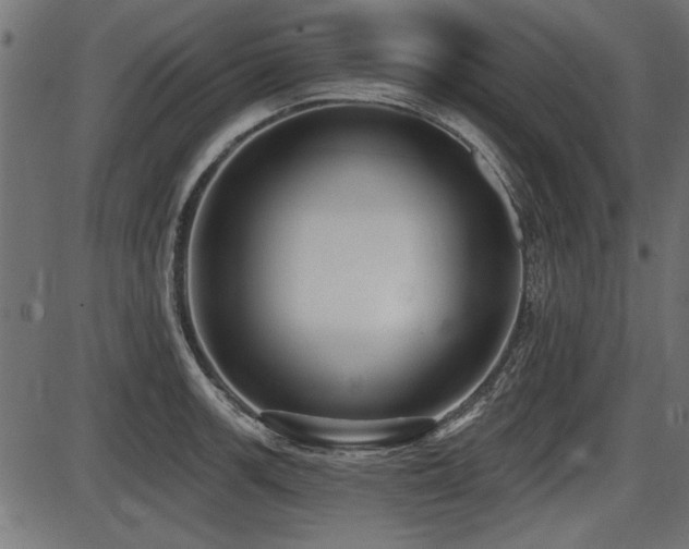 X0000087631139200705031439