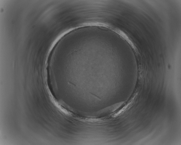 X0000087631140200705031439