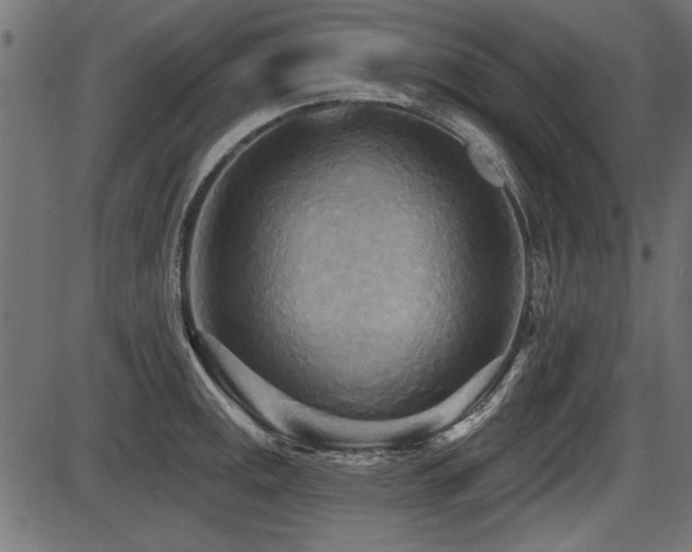 X0000087631141200705031439