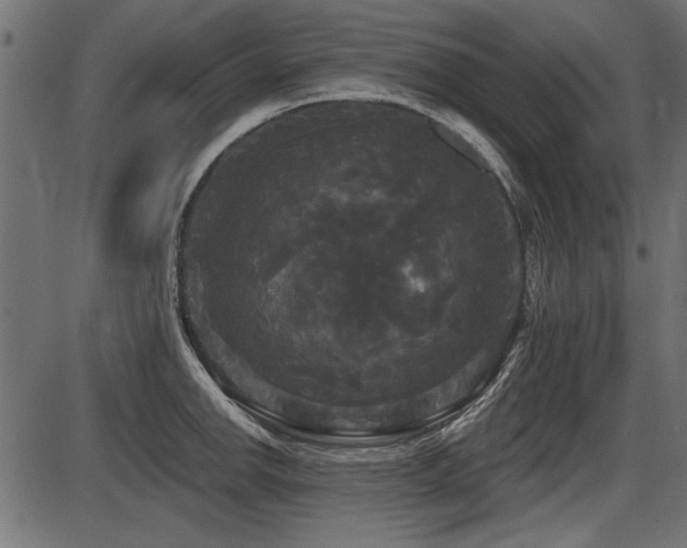 X0000087631142200705031439