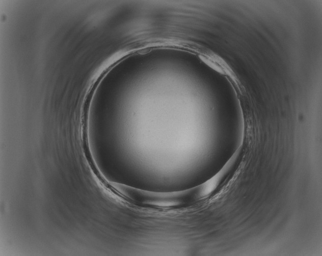 X0000087631143200705031439