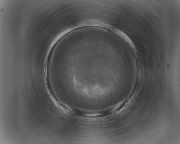 X0000087631144200705031439
