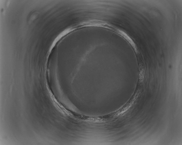X0000087631146200705031439