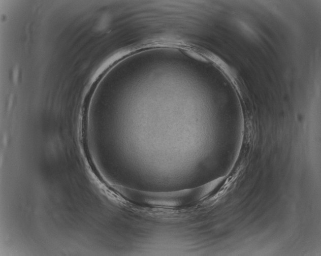X0000087631147200705031439
