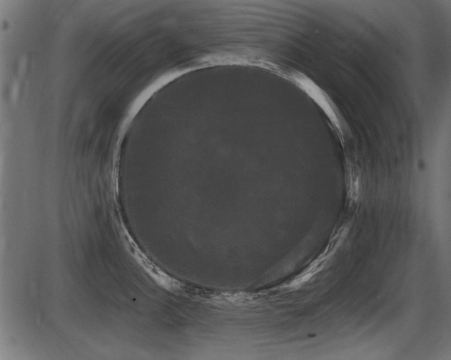 X0000087631148200705031439
