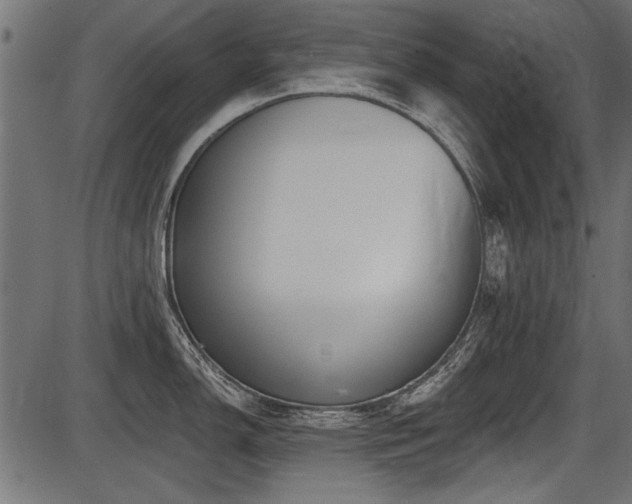 X0000087631150200705031439