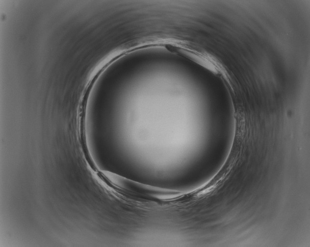 X0000087631151200705031439