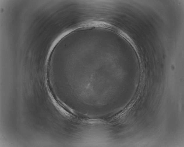 X0000087631152200705031439
