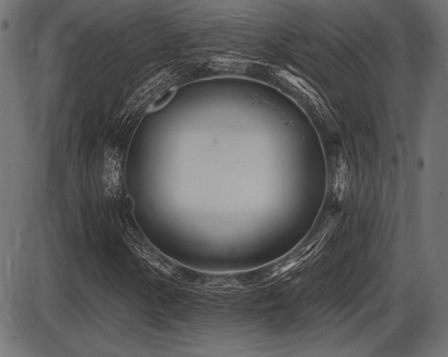 X0000087631154200705031438