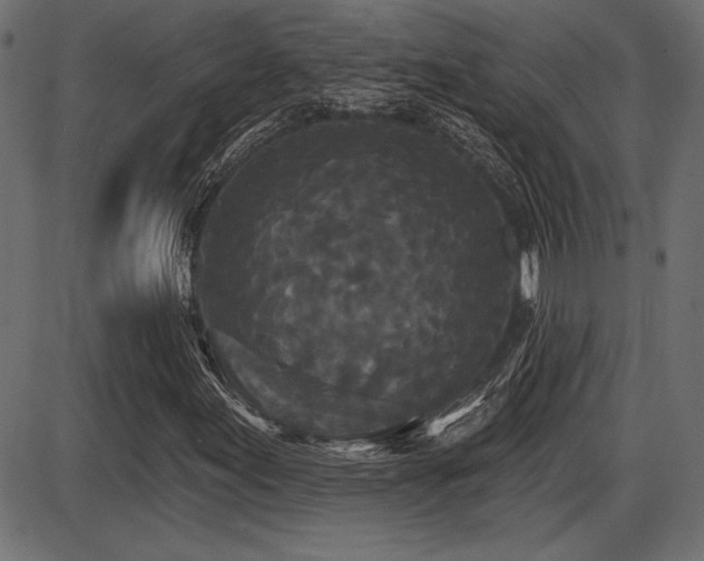 X0000087631155200705031438