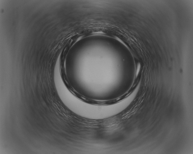 X0000087631156200705031438