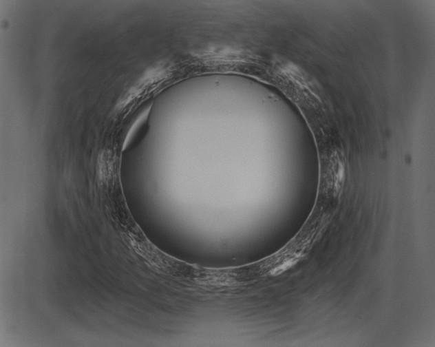 X0000087631157200705031438