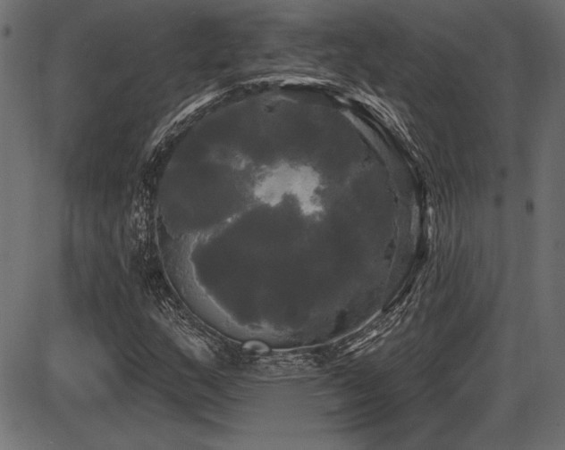 X0000087631159200705031438