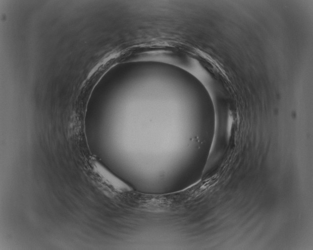 X0000087631160200705031438