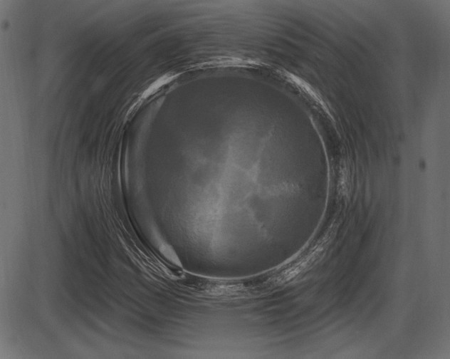 X0000087631161200705031438
