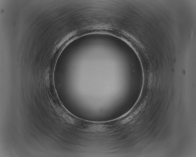 X0000087631162200705031438