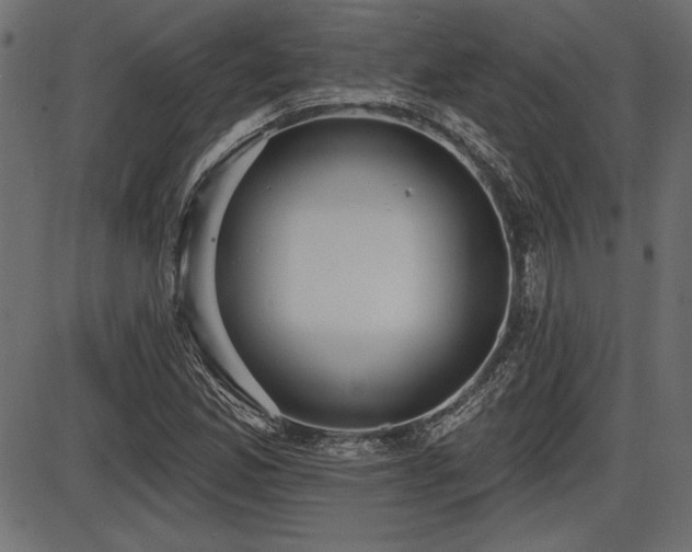X0000087631165200705031438