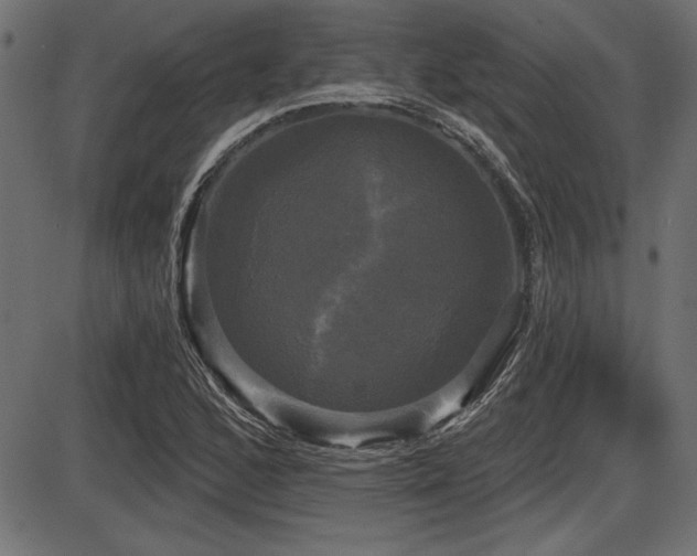 X0000087631168200705031438