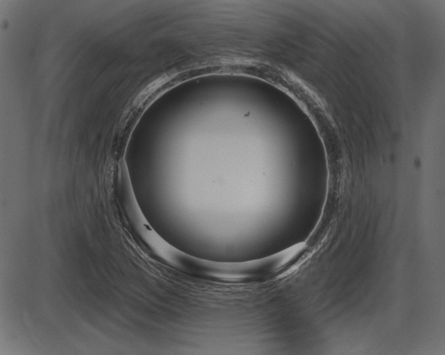 X0000087631169200705031438