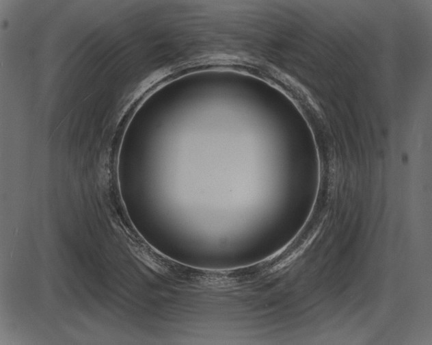 X0000087631170200705031438