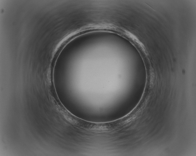 X0000087631174200705031438