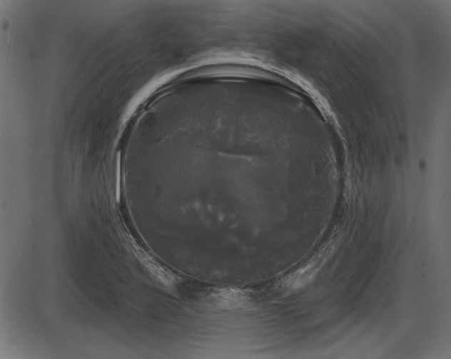 X0000087631175200705031438