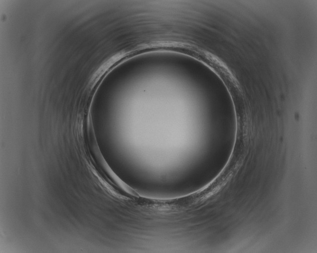 X0000087631177200705031438