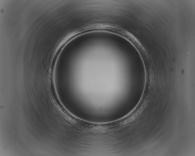 X0000087631178200705031438
