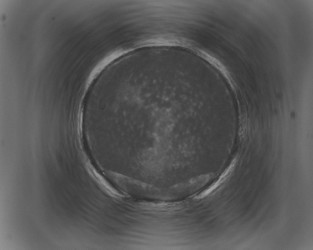 X0000087631179200705031438