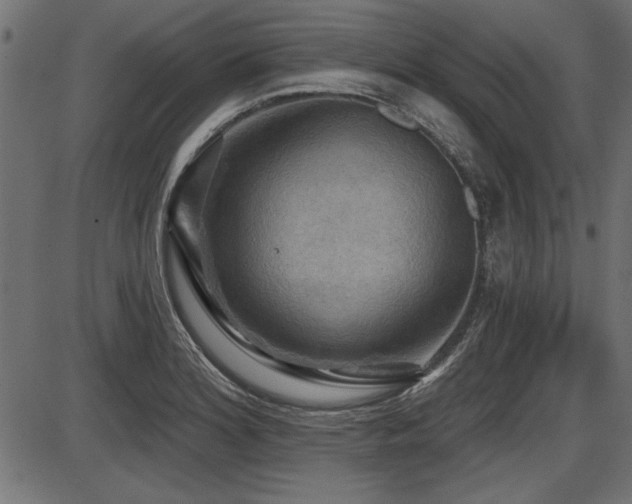 X0000087631180200705031438