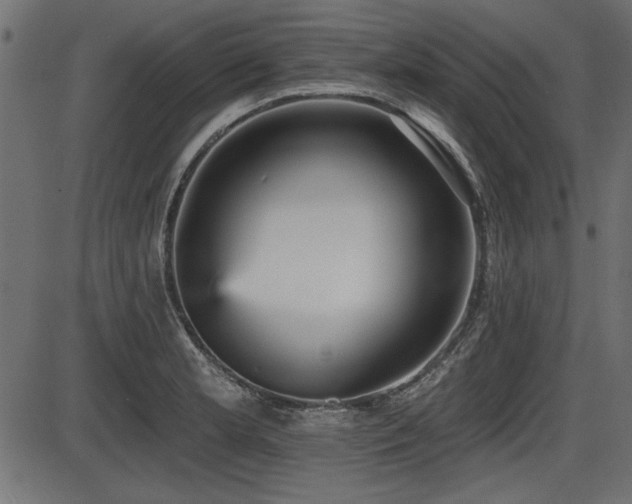X0000087631181200705031438