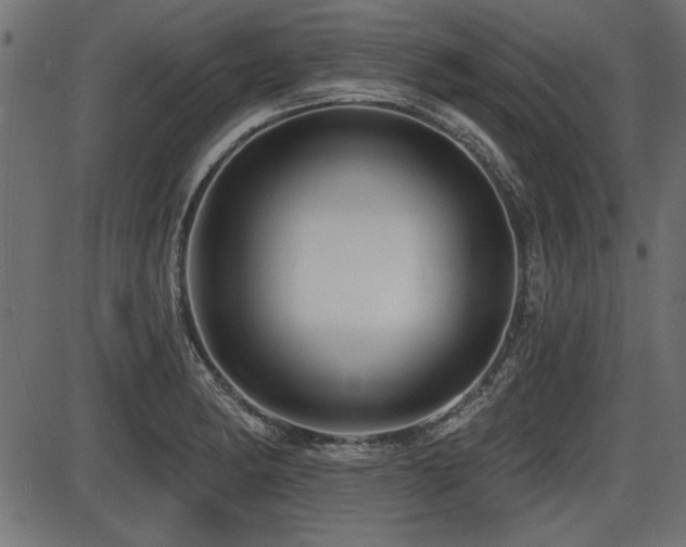 X0000087631182200705031438