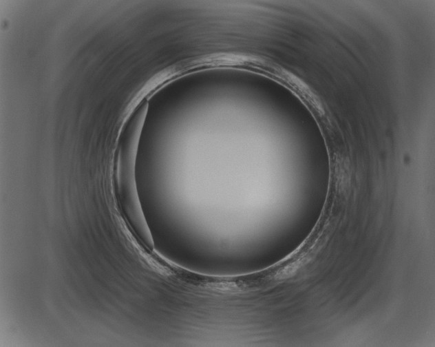 X0000087631186200705031438