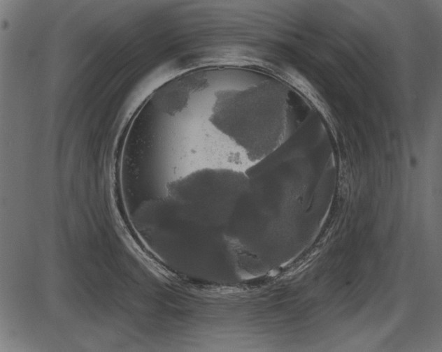 X0000087631187200705031438