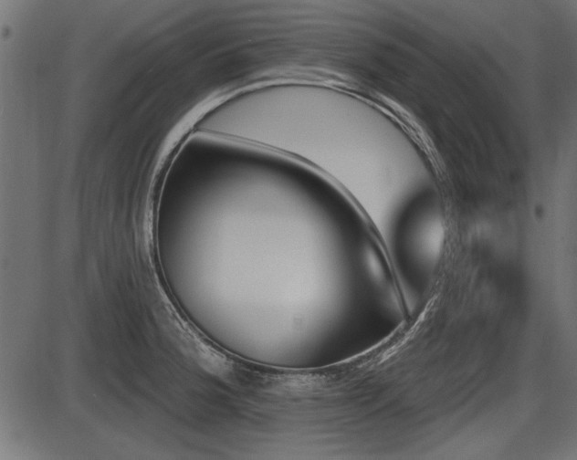 X0000087631188200705031438