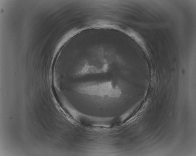 X0000087631191200705031438